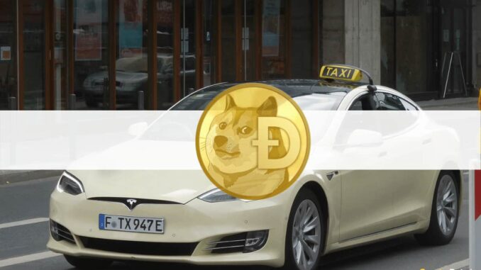 Elon Musk Inspired a German Tesla Taxi Company to Enable Dogecoin Payments