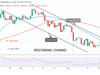 Bitcoin (BTC) Price Prediction: BTC/USD Holds above $45.5k as It Struggles Below $50k