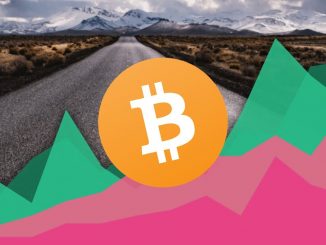 The Bitcoin Roadmap | Where Are We In The Cycle?