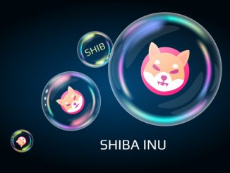 Should you buy Shiba Inu as the token awaits the metaverse call