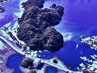 Why the Island Nation of Palau Is Going Crypto