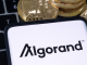 Algorand (ALGO) could rally by nearly 25% after a period of price consolidation