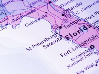 This Week in Coins: Leading Coins Rise Again as Florida to 'Figure Out' Accepting Bitcoin For Taxes