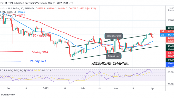 Bitcoin (BTC) Price Prediction: BTC/USD Fluctuates Between $45K and $48K as Bitcoin Holds Above $45K