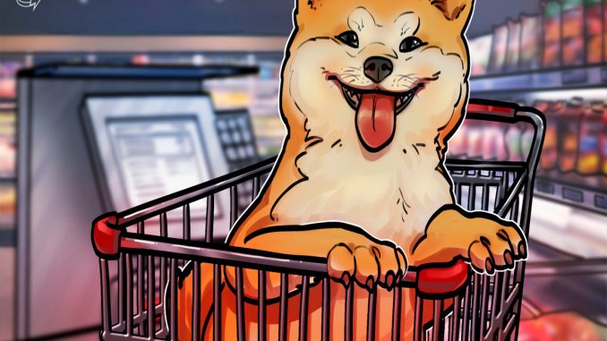 Dogecoin price risks 40% correction despite Elon Musk-Twitter euphoria