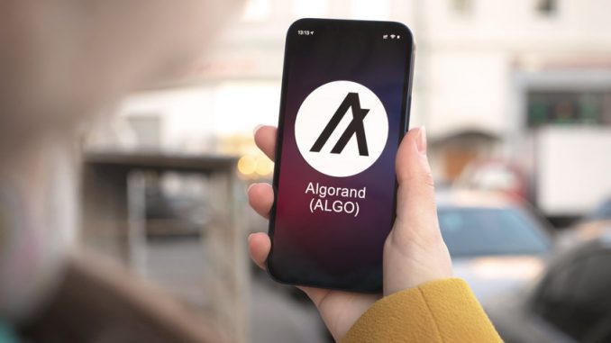 Is Algorand a Good Investment? 5 Reasons We Think It Is