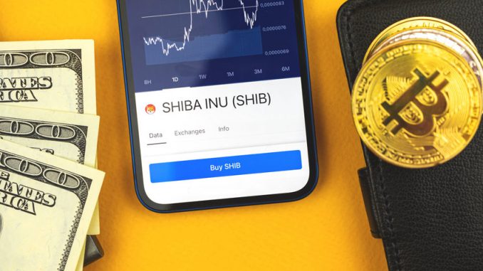 Shiba Inu (SHIB) could drop by around 15% before any bull run