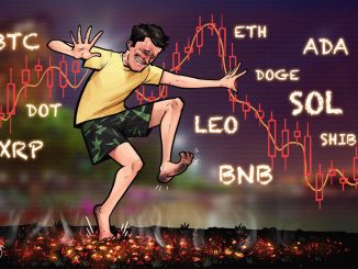 BTC, ETH, BNB, ADA, XRP, SOL, DOGE, DOT, LEO, SHIB