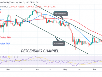 Bitcoin Price Prediction for Today June 12: BTC Price Drops to $26K as Bears Maintain Selling Pressure