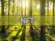 NFT and Crypto Games Outperformed DeFi Amid Market Selloffs in May: Report