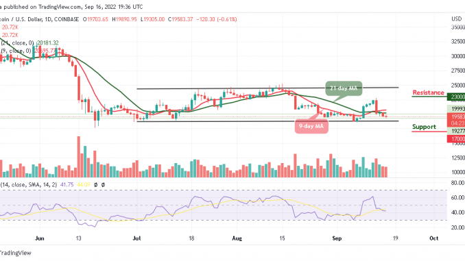 BTC Could Touch $19,000 Support; TAMA is Extremely Cheap Right Now