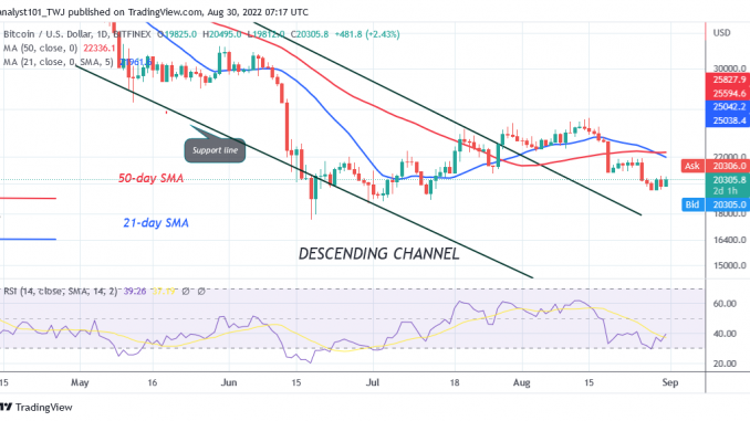 Bitcoin Price Prediction for Today August 31: Buyers Are in Strong Defense as BTC Price Holds Above 20K