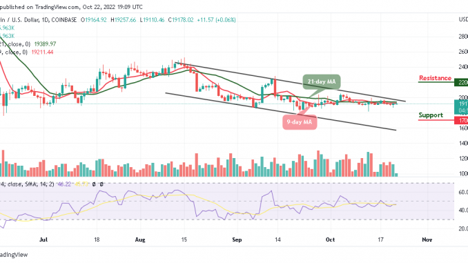 Bitcoin Price Prediction for Today, October 22: BTC/USD Rebounds Above $19,000 Level