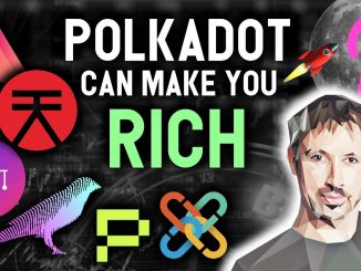 POLKADOT PROJECTS CAN MAKE YOU RICH IN 2021!