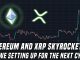 Ethereum & XRP Spike | Why we're likely setting up for the next altcoin cycle