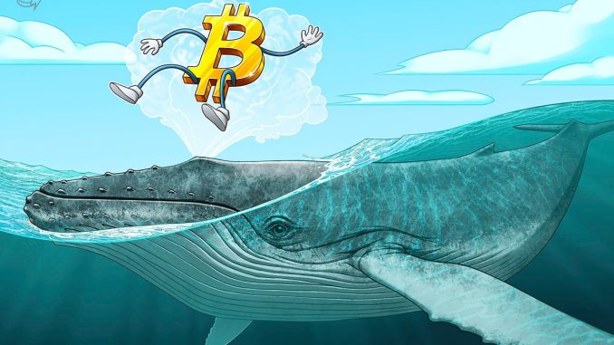 BTC price forms new support at $16.8K as Bitcoin lures ‘mega whales’
