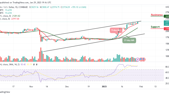 Bitcoin Price Prediction for Today, January 29: BTC/USD Bounces Near $24,000 Resistance Level