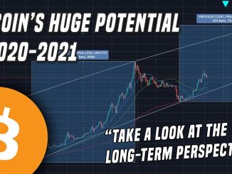 Bitcoin 2020 | Taking a look at the long-term perspective