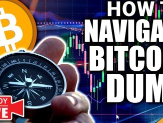 Navigating MASSIVE BITCOIN Dump (TOP REASONS To Stay In Crypto)
