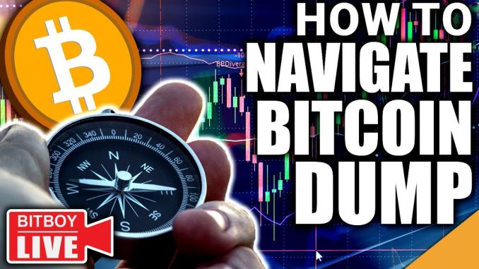 Navigating MASSIVE BITCOIN Dump (TOP REASONS To Stay In Crypto)