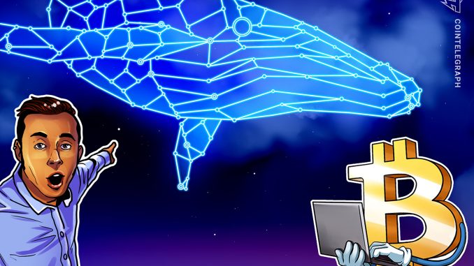 BTC whale population shrinks to early 2020 levels — 5 things to know in Bitcoin this week