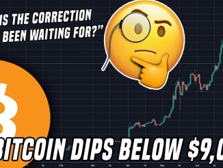 Bitcoin Dips To $9,000 | Is This The Correction We've Been Waiting For?