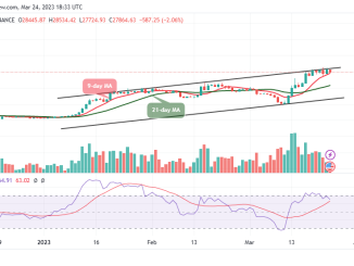 Bitcoin Price Prediction for Today, March 24: BTC/USD Short-term Bears Could Target $27k