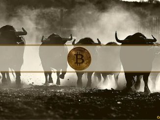 Bitcoin Bull Market on the Horizon According to Kiyosaki and Hayes