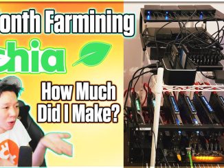 Chia Farming Setup and Profits | 1 Month Progress