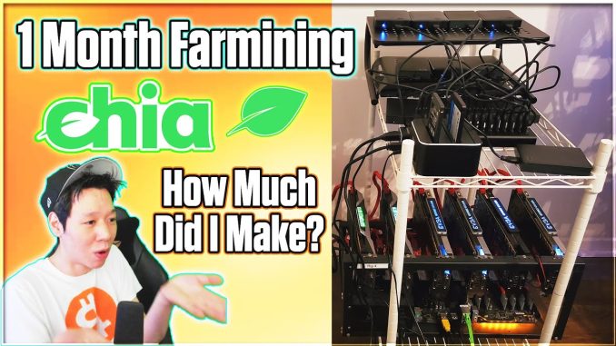 Chia Farming Setup and Profits | 1 Month Progress