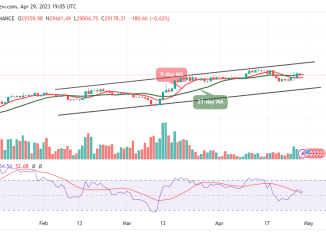 Bitcoin Price Prediction for Today, April 29: BTC/USD Resumes Consolidation, Will it Plunge Below $29K?