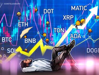 BTC, ETH, BNB, XRP, ADA, DOGE, SOL, TON, DOT, MATIC