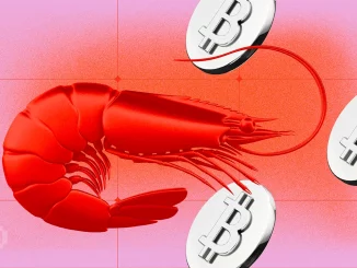 Shrimps Accumulate Bitcoin (BTC) and Get Smarter: Does Crypto Education Work?