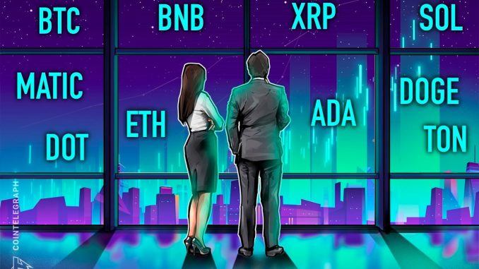 BTC, ETH, BNB, XRP, SOL, ADA, DOGE, TON, DOT, MATIC