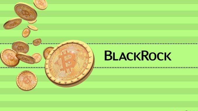 BlackRock CEO Larry Fink Shares Thoughts on a Bitcoin (BTC): Bull Run Ahead?