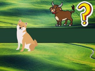 Which Altcoin is Worth Buying? Shiba Inu (SHIB) Proposed By This Bitcoin Proponent