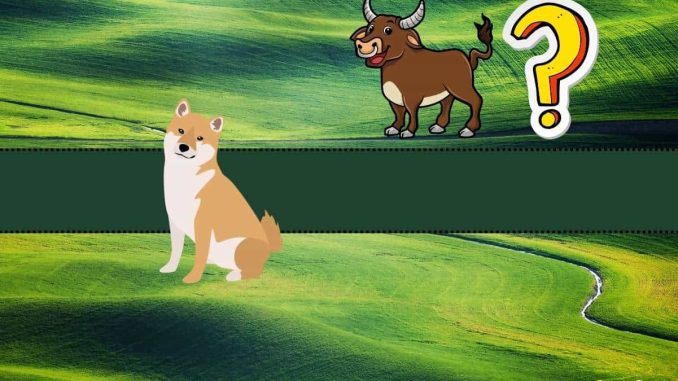 Which Altcoin is Worth Buying? Shiba Inu (SHIB) Proposed By This Bitcoin Proponent