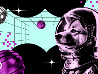 Meme Coins Go Wild: What Will Happen to Dogecoin, Shiba Inu, and BONK?