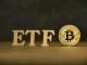 These Bitcoin Spot ETFs See First Day With Zero Inflows