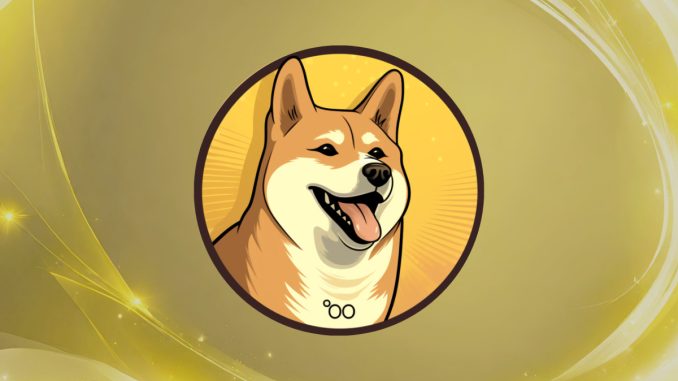 Dogecoin20 Meme Coin Launches ICO and Raises $200K Within Hours