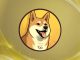 Dogecoin20 Meme Coin Launches ICO and Raises $200K Within Hours