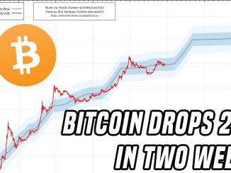 Bitcoin Drops 25% in Two Weeks | Here's What You Need To Know