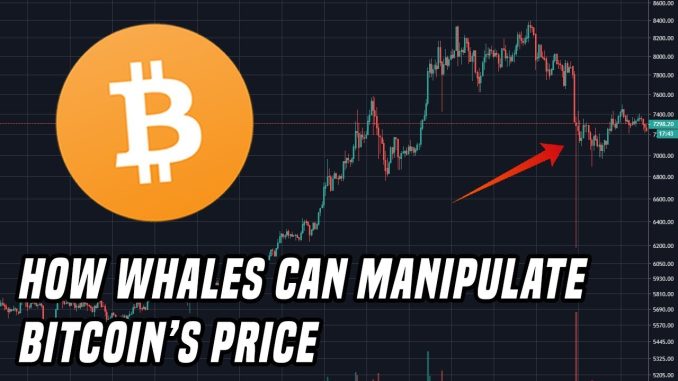 Spotting Manipulation | How Whales Can Manipulate Bitcoin