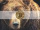 The Bitcoin Bear Market May Have Already Started, Signal Shows
