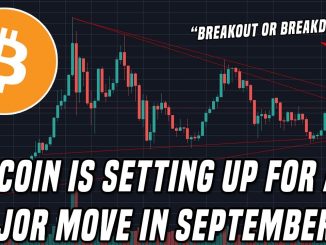 Bitcoin To $20,000 or $6,000? | September is the month to watch!