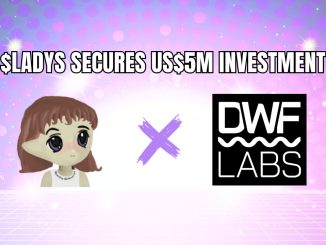 Milady Meme Coin Secures US$5 Million Investment from DWF Labs