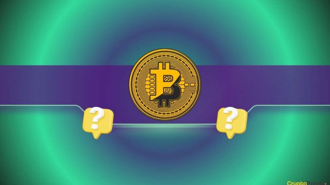 Three Reasons Why the Bitcoin (BTC) Price Could Hit a New ATH Before the End of 2024