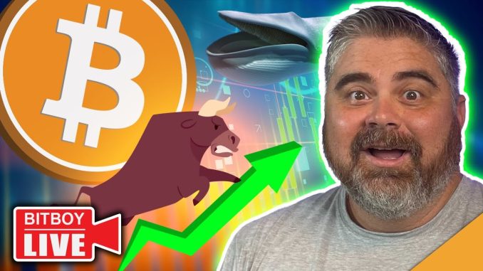 MONSTER Bitcoin Move Secured! (Next Crypto SURGE Ahead)