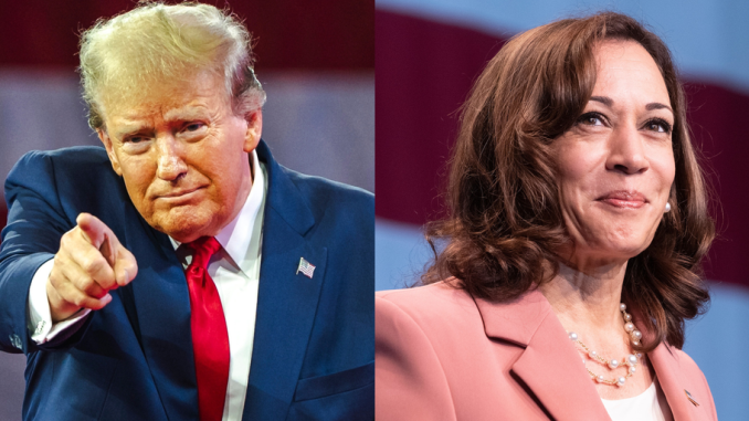 Bitcoin Sinks After Trump and Harris Leave Crypto Out of Presidential Debate