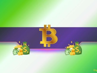 No Bitcoin HODLer is Currently Losing Money: Data